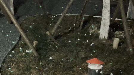 640 (3).gif
